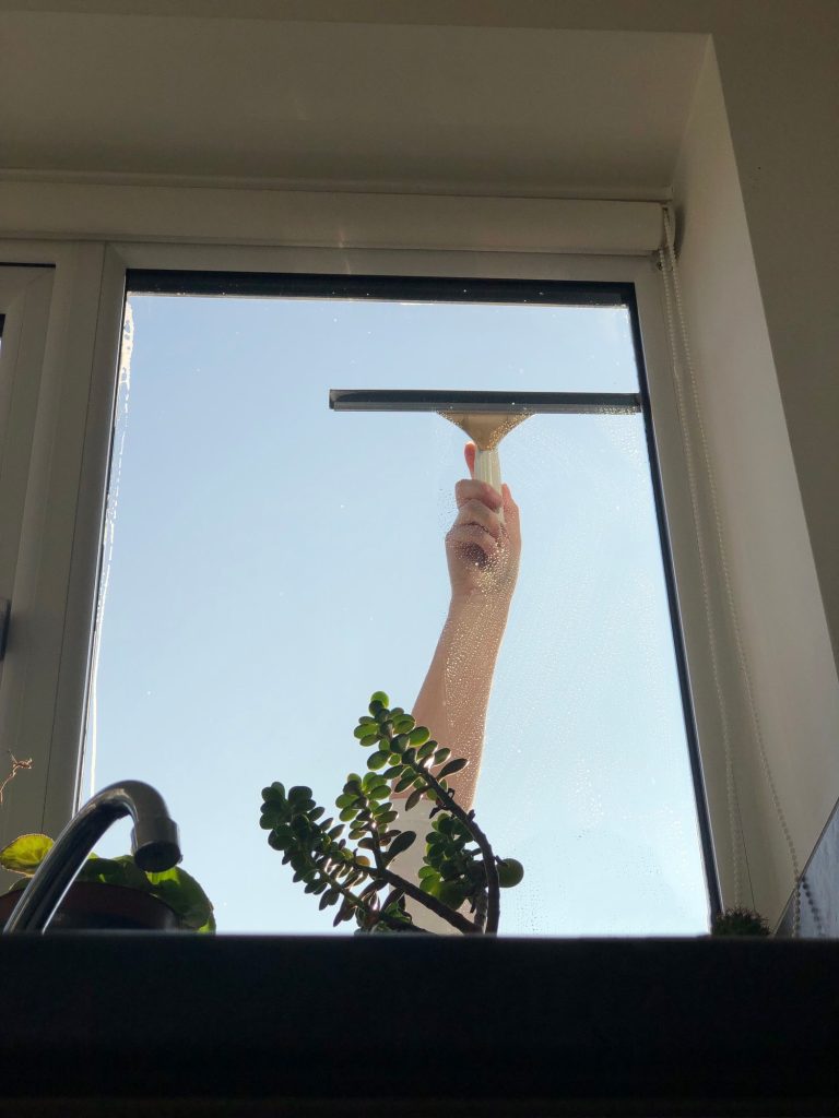 Curățare geam cu racletă, cer albastru, plante